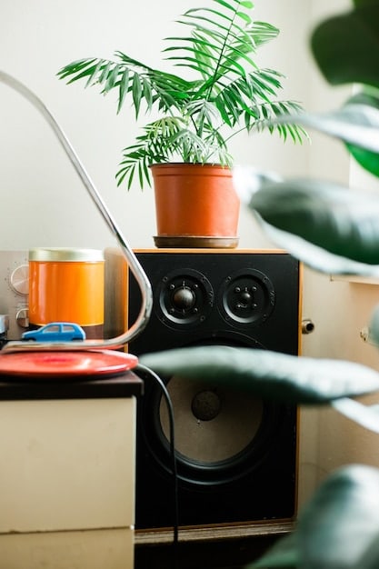 A cozy living room setup with a turntable, amplifier, and speakers, showcasing a dedicated listening space for vinyl records. The room is decorated with vintage posters and other music-related memorabilia.