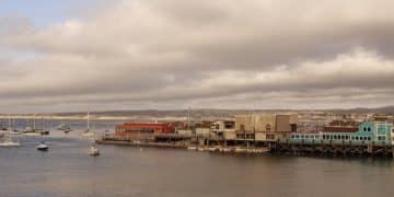Supply Chain Disruption Alert: Navigating Port Delays in the US - Cover Image