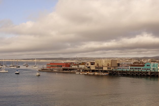 Supply Chain Disruption Alert: Navigating Port Delays in the US