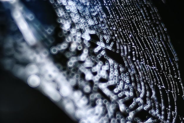 A detailed close-up of a semiconductor chip, showing the intricate circuitry etched onto its surface. The focus is on the complexity and precision required in the manufacturing process.