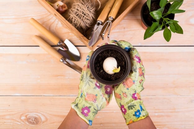 A close-up of a young tree seedling being planted in healthy soil, with gardening tools blurred in the background, representing practical reforestation efforts.