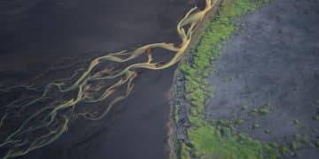 Reflecting on the First Year: Are New Environmental Regulations Actually Working? - Cover Image