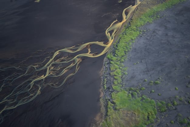 Reflecting on the First Year: Are New Environmental Regulations Actually Working?