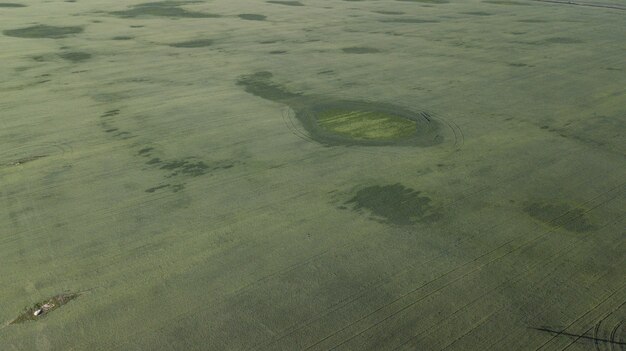 Future of Farming: Climate Change & Food Prices in 5 Years