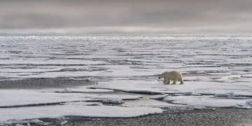 The Cost of Inaction: Climate Goals 2030 Impact - Cover Image