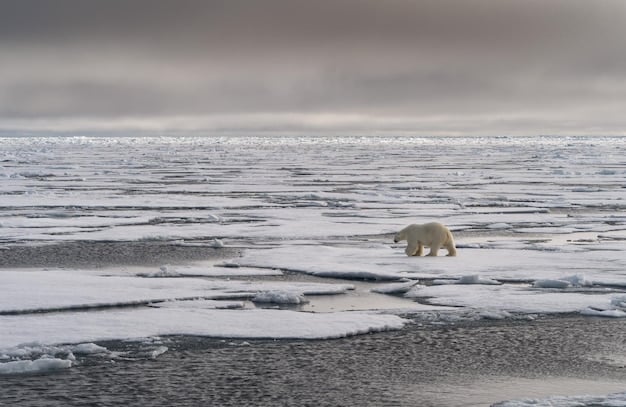 The Cost of Inaction: Climate Goals 2030 Impact