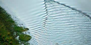 The Fight for Clean Water: Are Regulations Strong Enough? - Cover Image