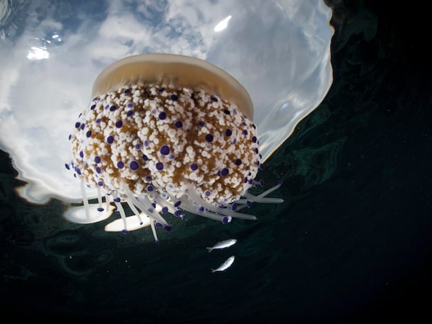 A close-up of microplastic particles suspended in water, illustrating an emerging environmental contaminant.