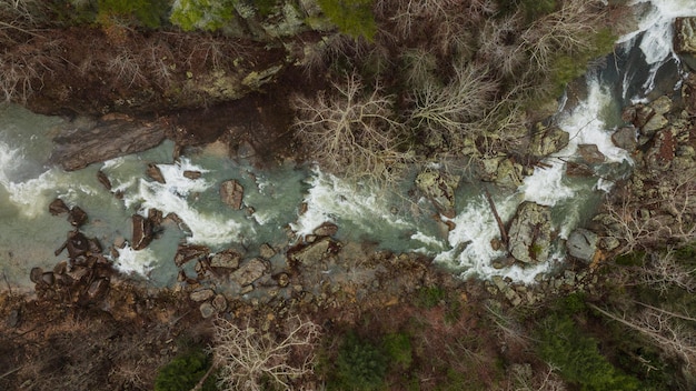 Satellite image showing clear-cutting deforestation next to a river, with sediment plumes visible downstream in the water.