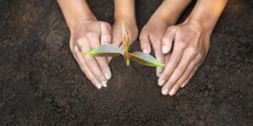 Act Now: Federal Grants for Environmental Conservation Projects - Cover Image