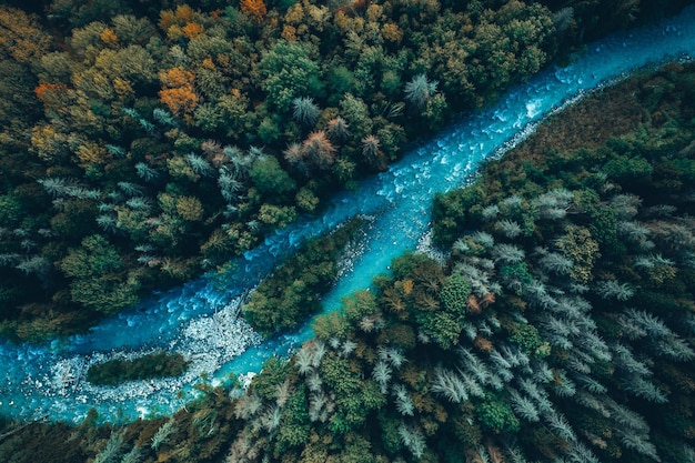 A drone shot capturing a vast, healthy forest bordering a clear river under a blue sky, with a small, discreet team of conservationists monitoring an area, illustrating the scale and impact of environmental protection.