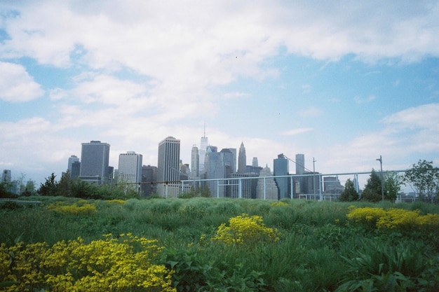A clear, blue sky over a thriving metropolitan area, showcasing modern green buildings and clean urban spaces.
