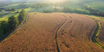Climate Change Impact on US Agriculture: Adapt & Thrive - Cover Image