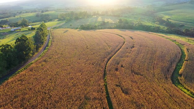 Climate Change Impact on US Agriculture: Adapt & Thrive
